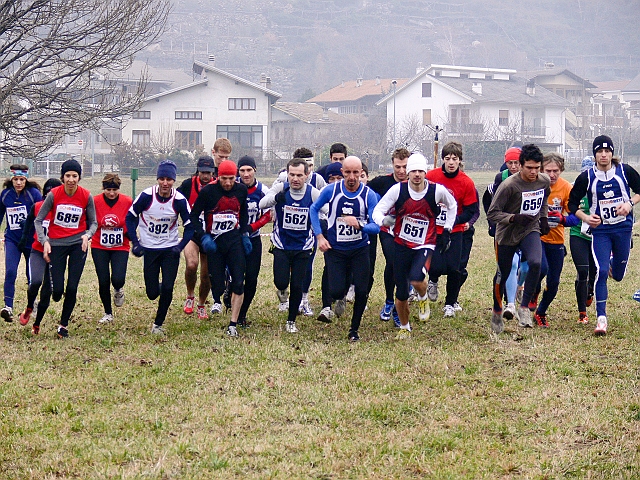 P1100758_1.jpg