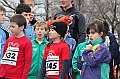 pollein_031
