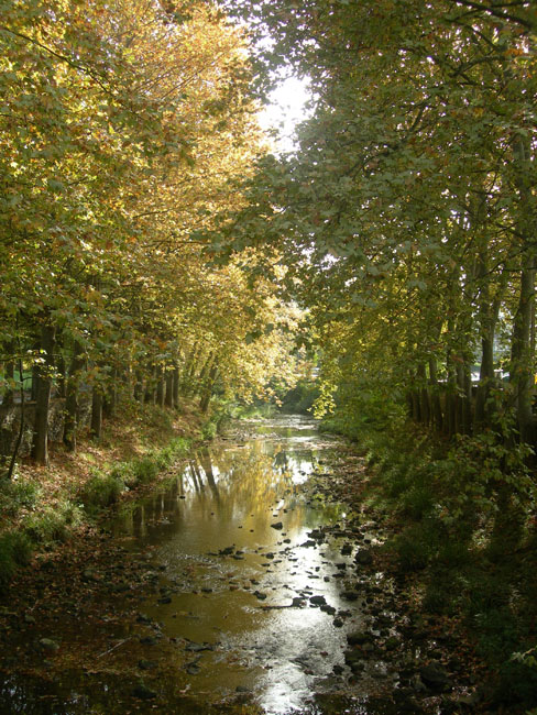 Olot_158