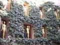 Olot_089