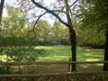 Olot_161