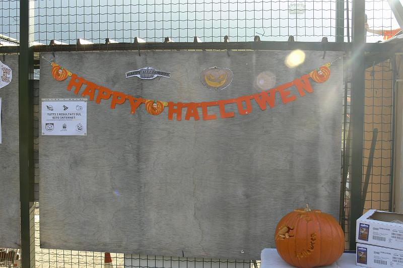 halloween334.jpg