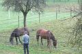 EAP_Albertville_134