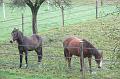 EAP_Albertville_135