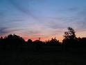 DSC00736