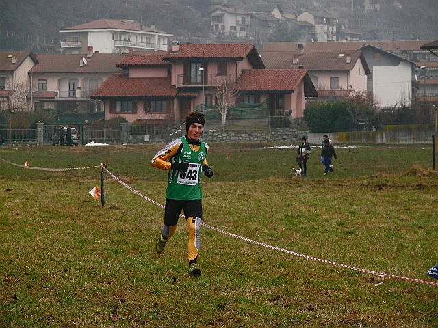 P1100602_1.jpg