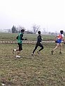 P1100646