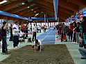 P1150091