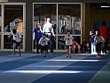 P1150290