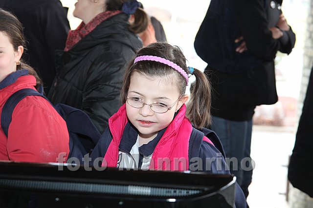 pollein_006.JPG