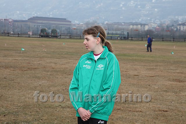pollein_017.JPG