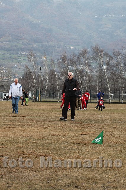 pollein_021.JPG