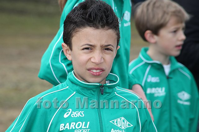 pollein_027.JPG
