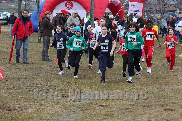 pollein_043.JPG