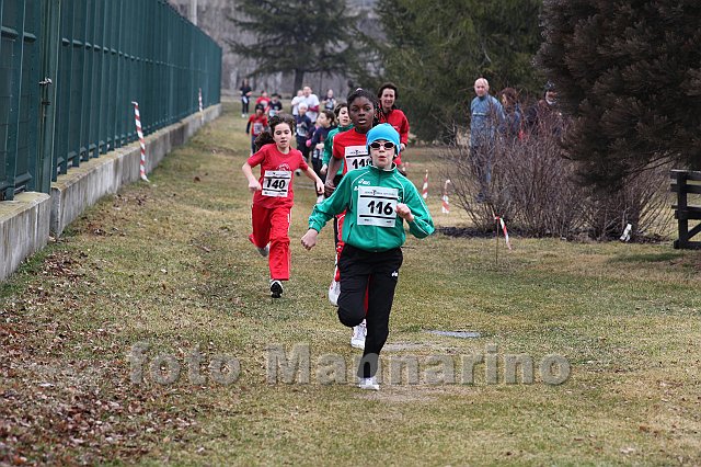 pollein_047.JPG