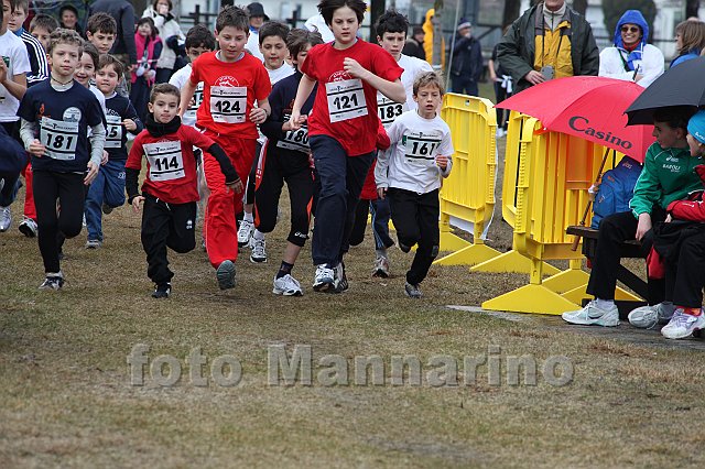 pollein_055.JPG