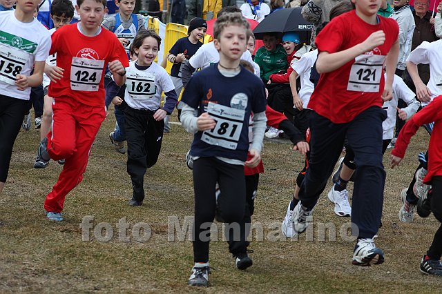 pollein_058.JPG