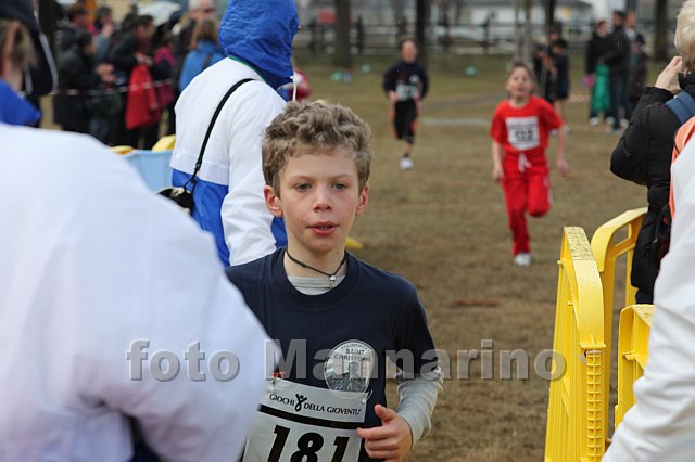 pollein_079.JPG