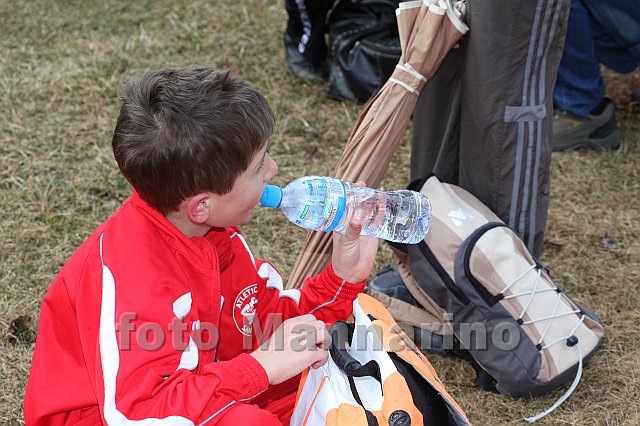 pollein_084.JPG