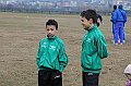 pollein_018