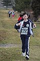 pollein_038