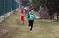 pollein_047