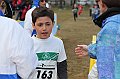 pollein_077