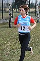 pollein_169