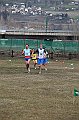 pollein_172