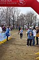 pollein_205
