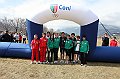 pollein_222