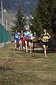 pollein_249