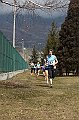pollein_257
