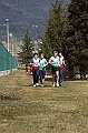 pollein_266