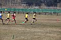 pollein_267