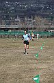 pollein_271