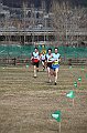 pollein_272
