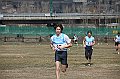pollein_274