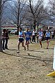 pollein_282