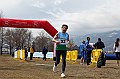 pollein_304