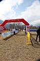 pollein_334