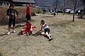 pollein_345