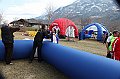 pollein_365