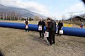 pollein_372