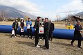 pollein_377
