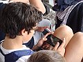 DSC01578