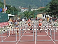 VcV_331