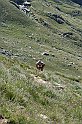 Crabun_363