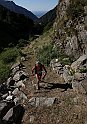 Crabun_276