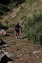 Crabun_301